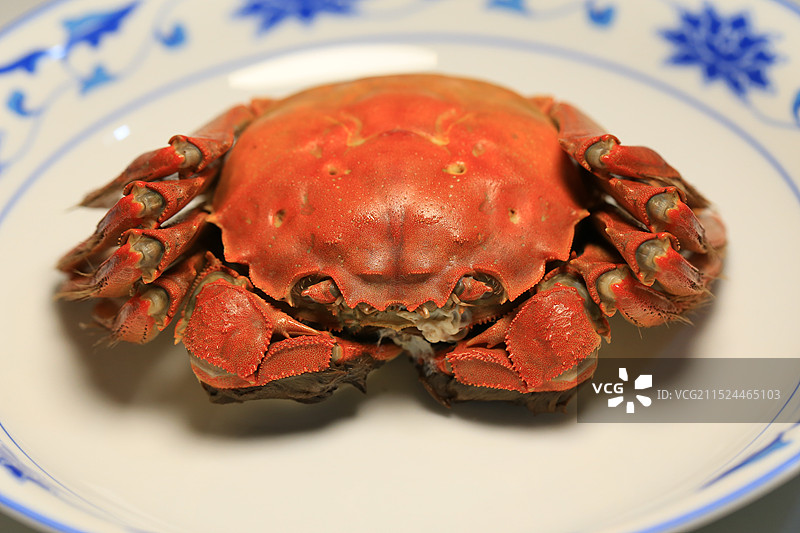 一只熟的大闸蟹图片素材