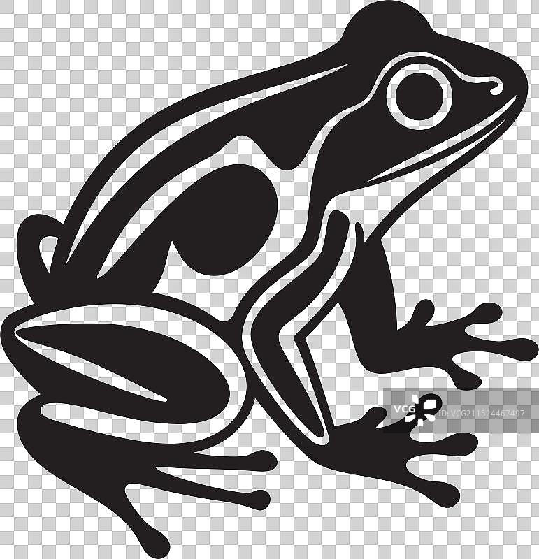 青蛙疣状皮肤的保护图片素材