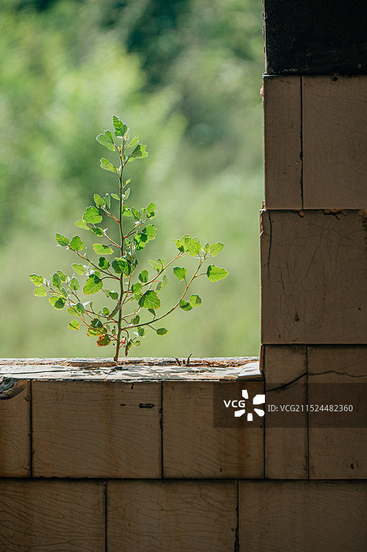 天空 废墟 建筑 荒芜 荒废图片素材