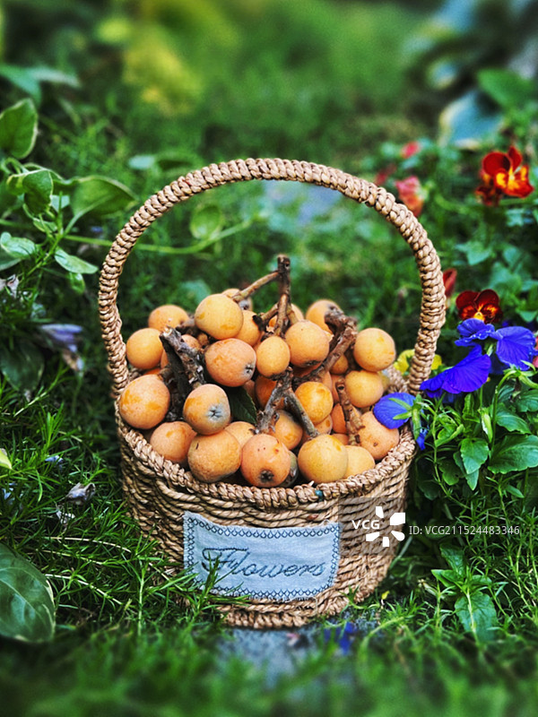 篮子里枇杷的特写镜头图片素材