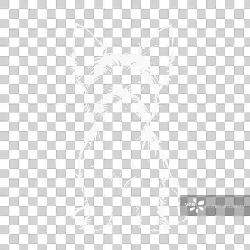 约克夏犬图片素材