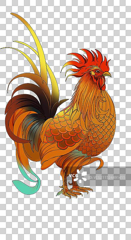 生肖鸡图片素材