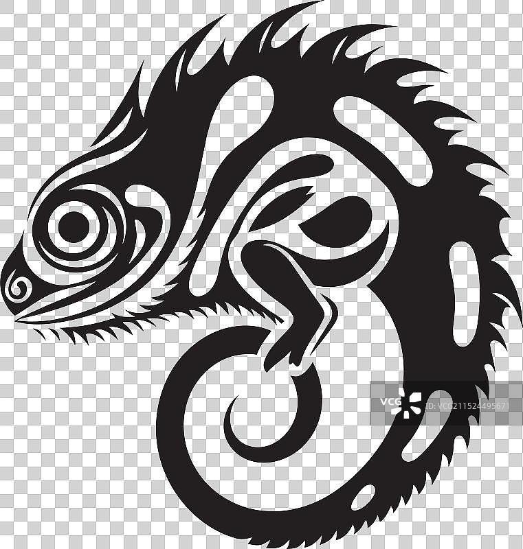 黑色碳纤维变色龙隐蔽标志图片素材