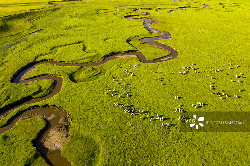 定西市岷县狼渡草原景区图片素材