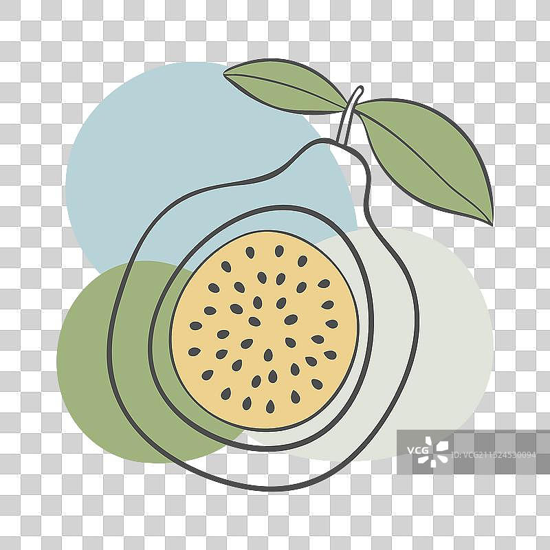 叶子风格化轮廓的百香果切片图片素材