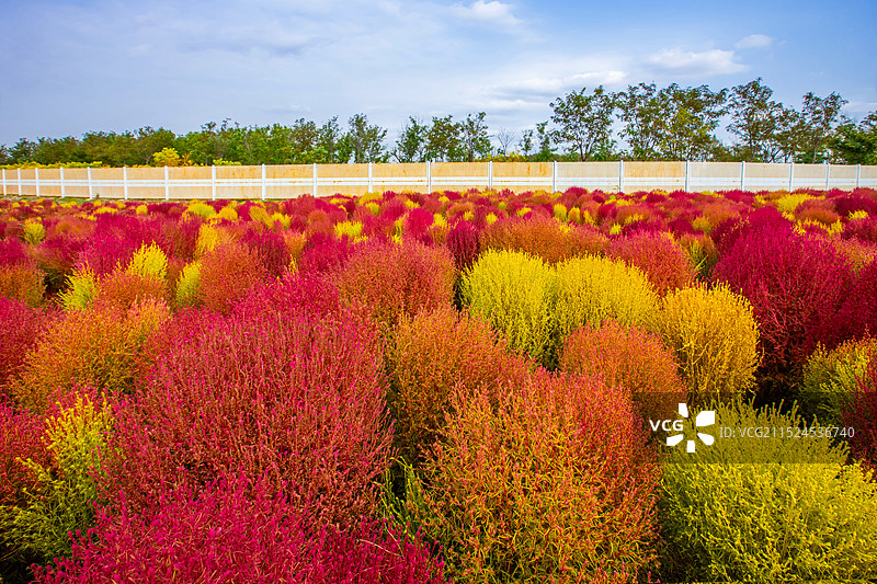 天津东丽湖图片素材