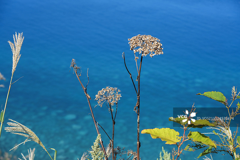 北海道 积丹半岛 神威岬图片素材