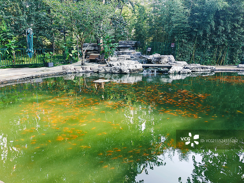 陶然亭公园 钓鱼池图片素材