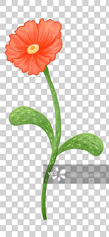 一朵红色的花图片素材