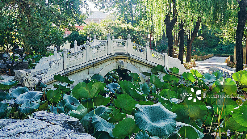 大观园 石桥图片素材