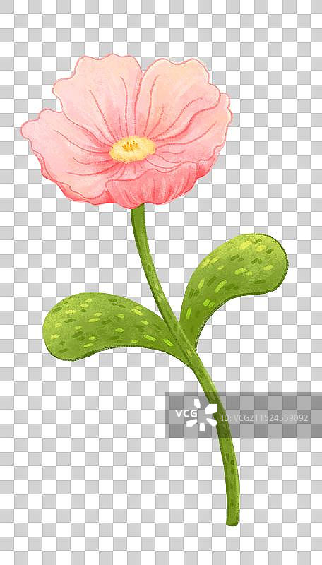 一朵粉色的花图片素材