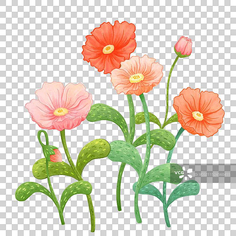 粉色的花丛图片素材