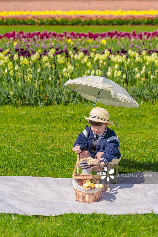 坐在郁金香公园草坪遮阳伞处的男孩摆弄郁金香藤篮图片素材