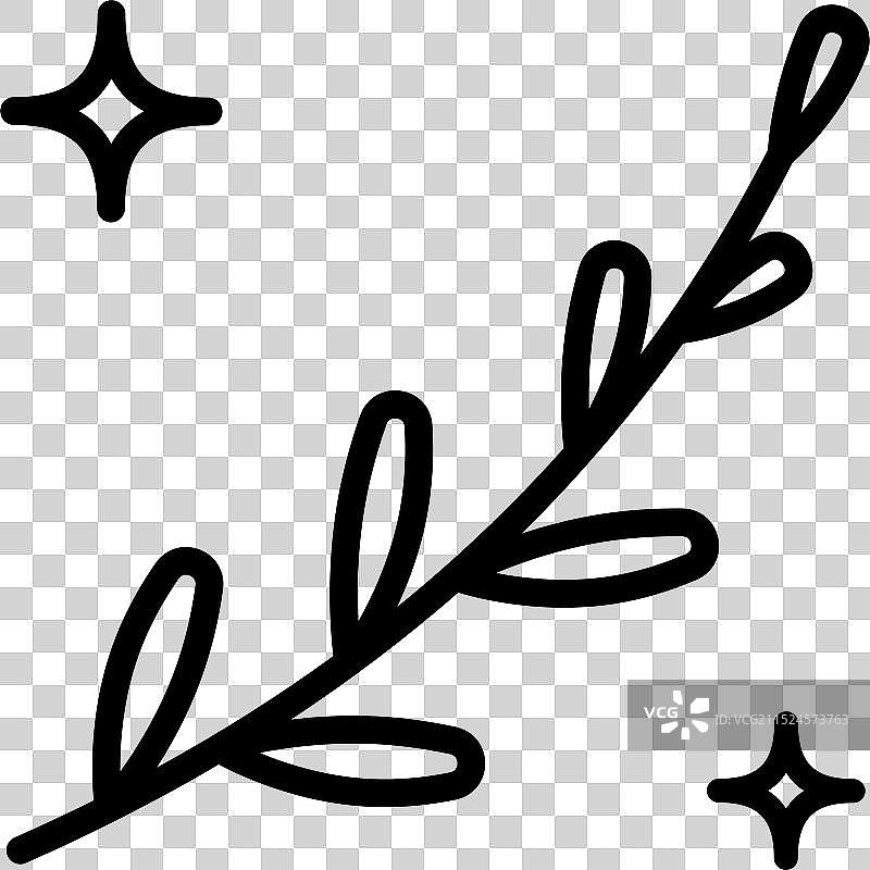 迷迭香枝条线性图标图片素材