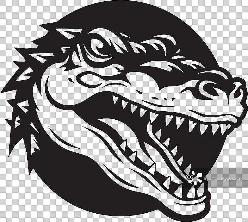 21世纪的鳄鱼保护图片素材