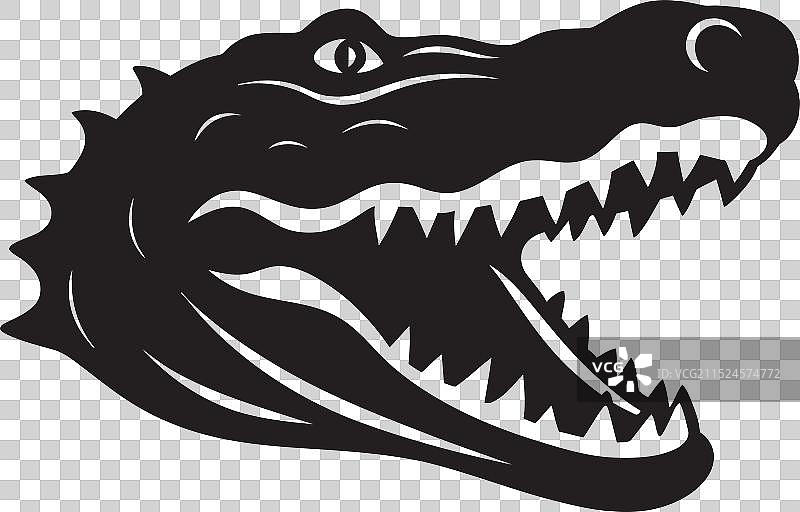 河口咸水鳄鱼图片素材