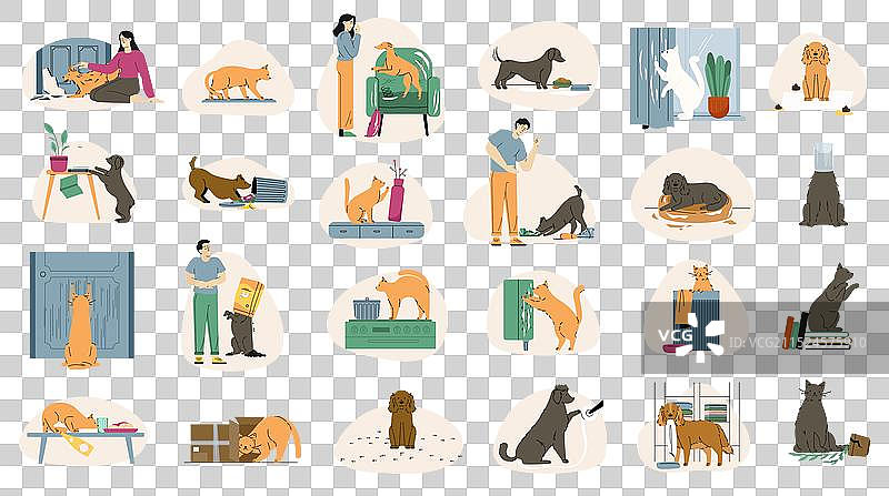 宠物猫狗调皮行为图片素材