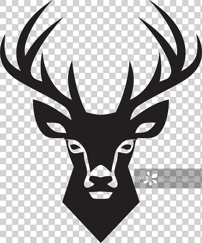 鹿与莱姆病生态研究图片素材