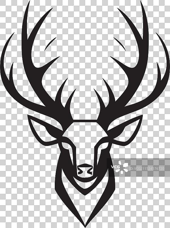 追踪难以捉摸的狍鹿的奇怪行为图片素材