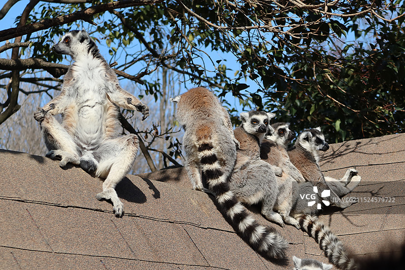 扬州市茱萸湾景区图片素材