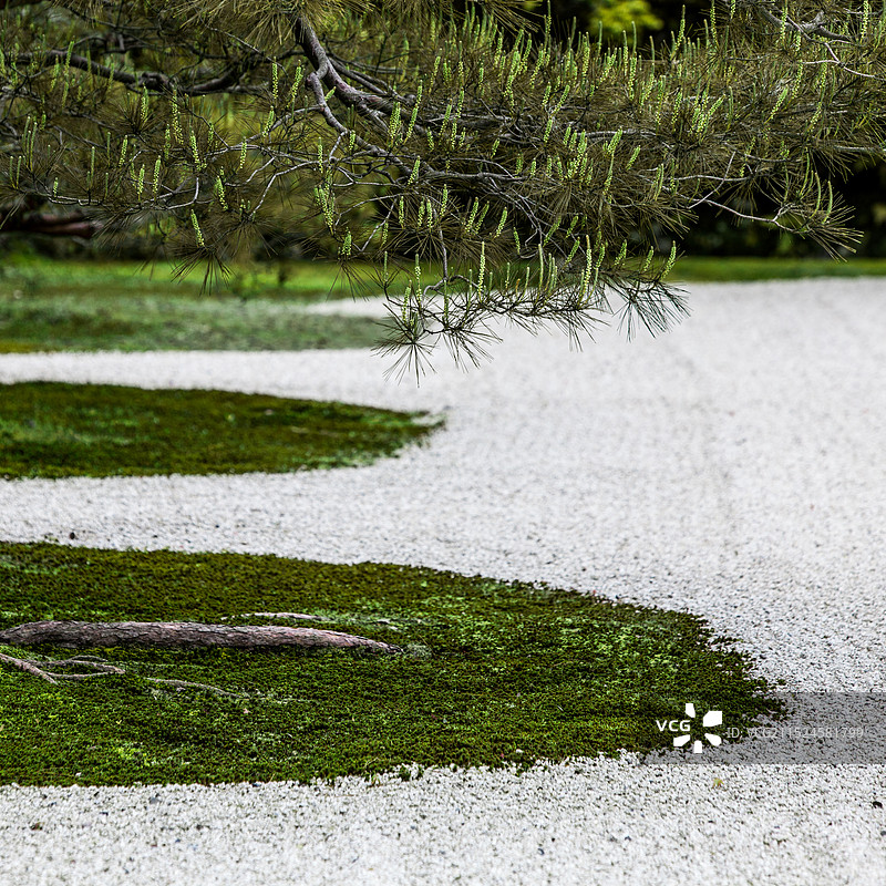 枯山水局部图片素材