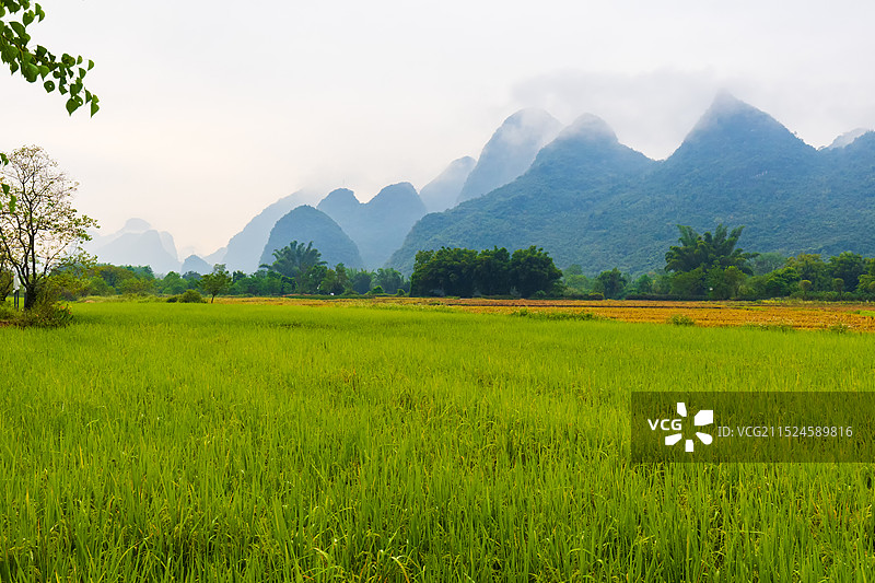 桂林阳朔遇龙河景区田园风光图片素材