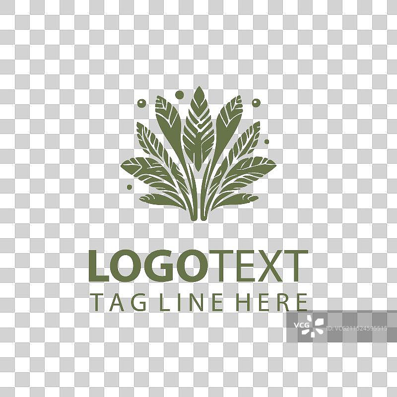 珊瑚树标志图片素材