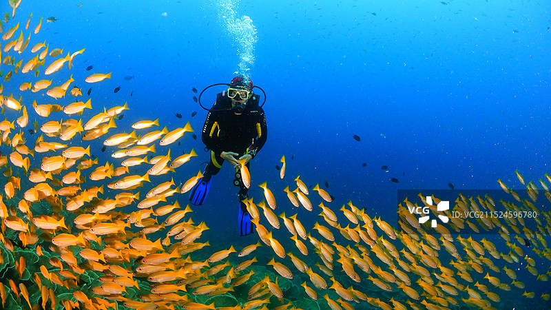 在海里游泳的人图片素材