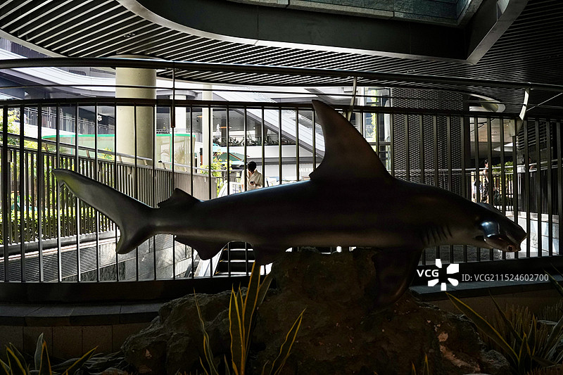 广场上的鱼形装置图片素材