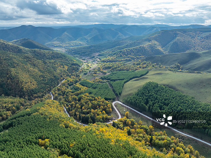 航拍塞罕坝机械林场，植树造林图片素材