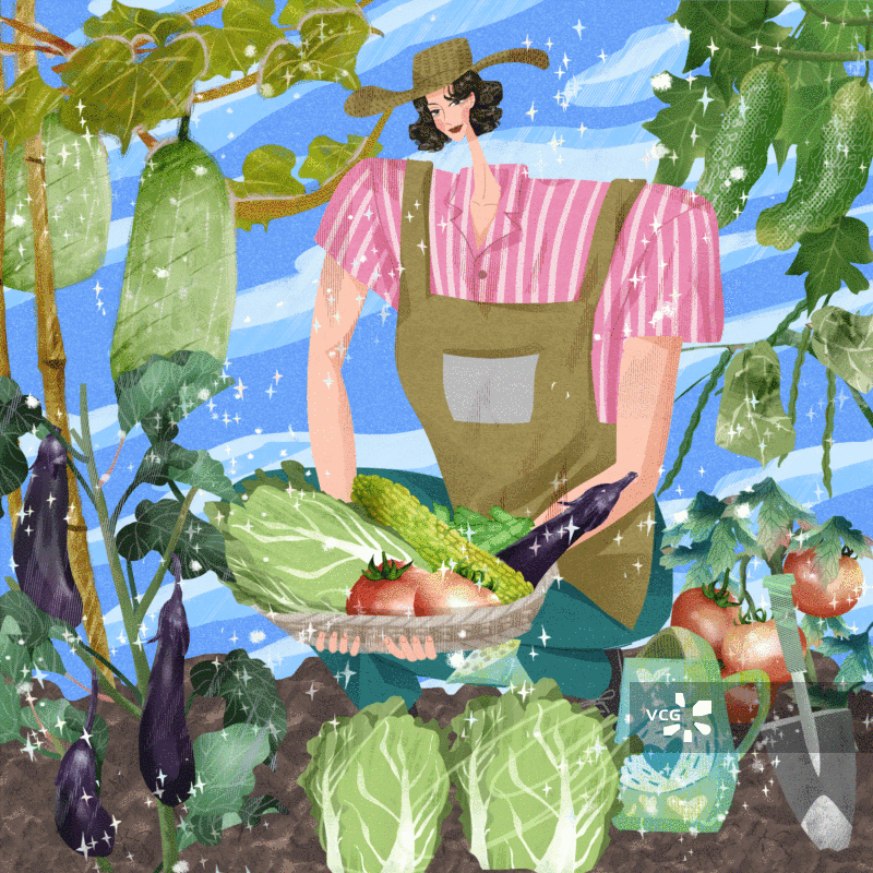女性收获蔬菜插画GIF动图图片素材