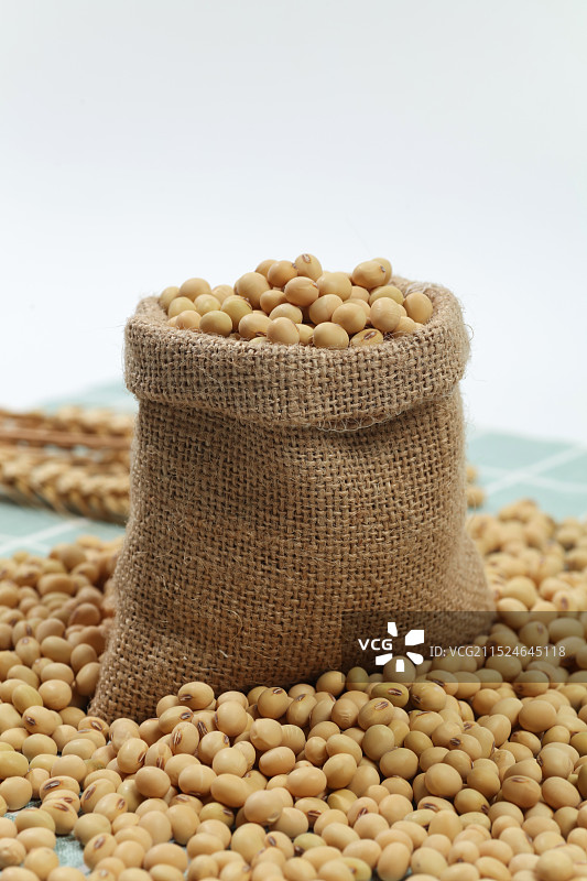 麻袋里的黄豆图片素材