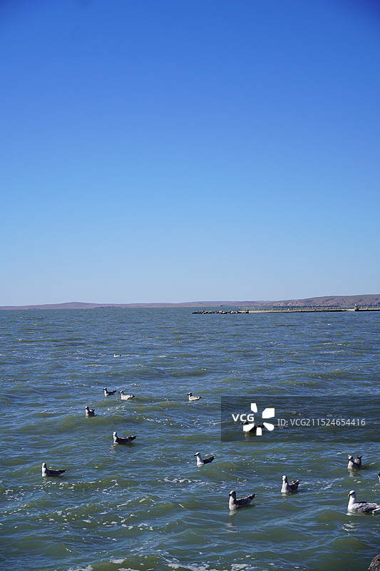 呼伦贝尔湖图片素材