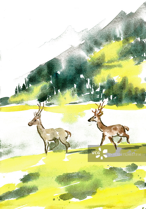 山谷里的小鹿图片素材