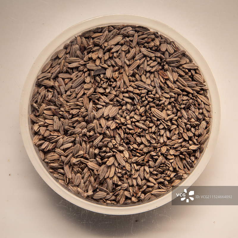 马王堆汉墓辛追墓出土稻谷图片素材