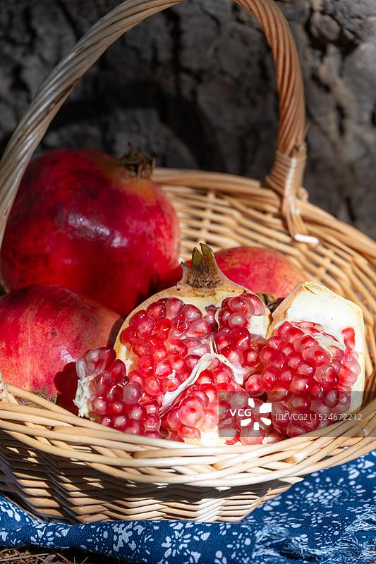 松树旁铺满松针落叶的地上剥开的石榴果篮特写图片素材