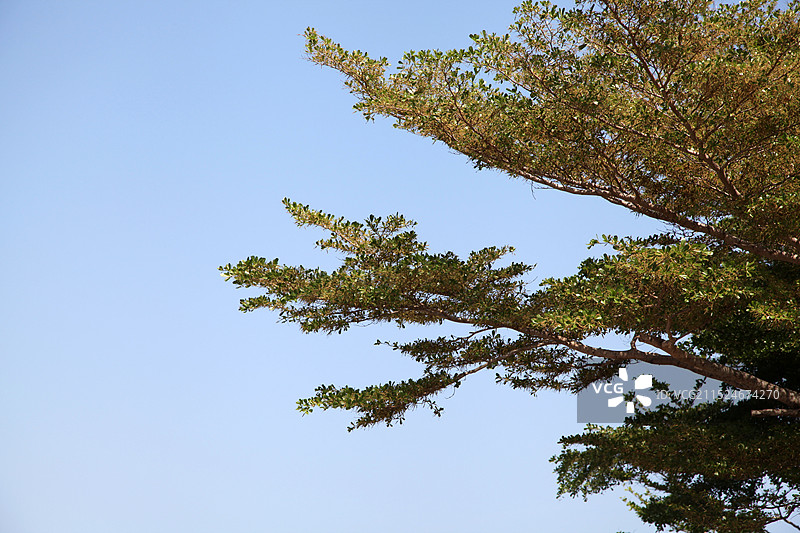 海南三亚南山寺图片素材