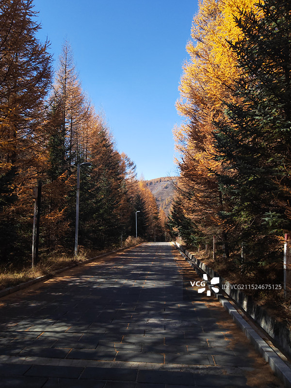 忻州市宁武芦芽山生态旅游区图片素材