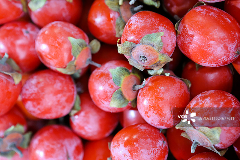 秋天的水果果实火晶柿子和柿子图片素材