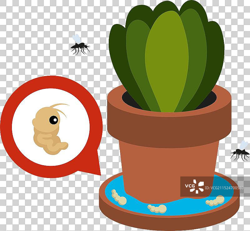 蚊虫控制和预防登革热图片素材