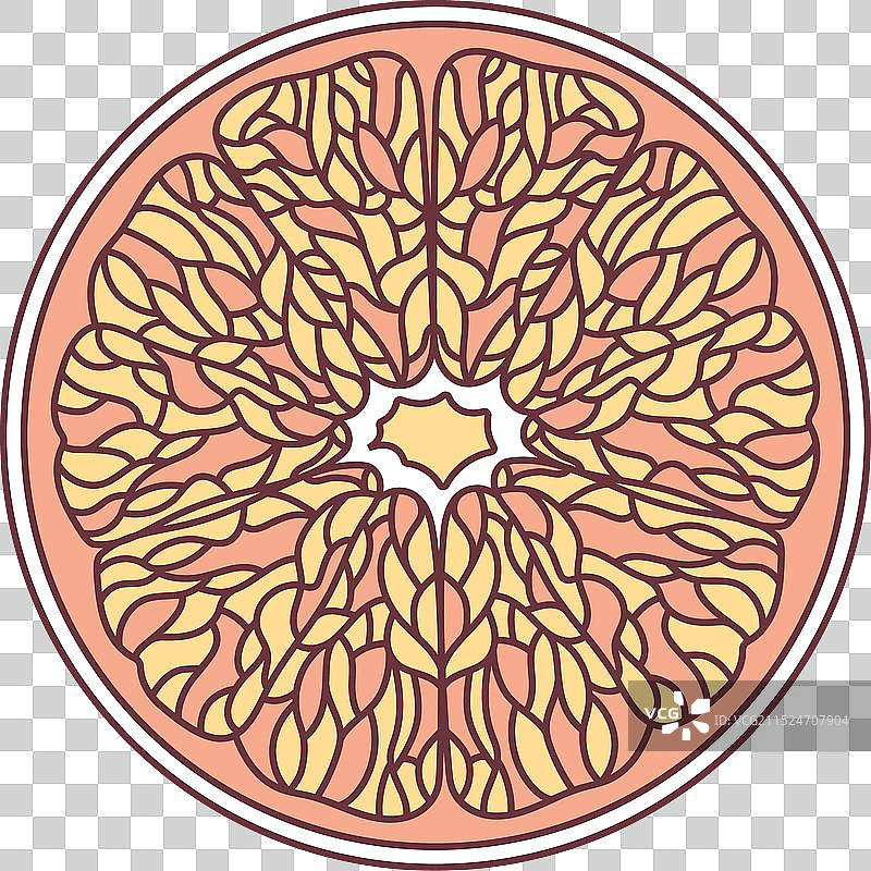 水果葡萄柚图片素材