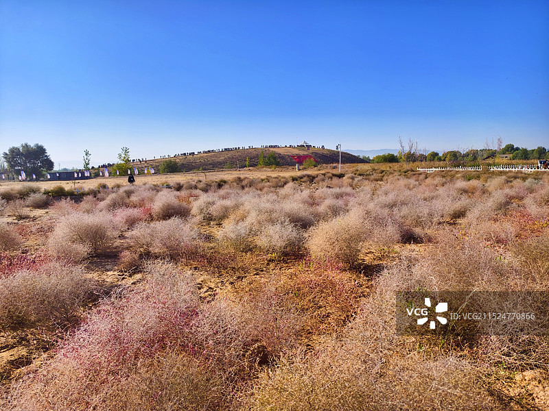 宁夏中卫市腾格里金沙岛图片素材