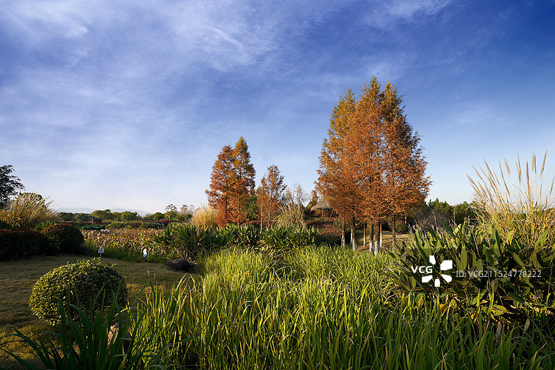杭州市余杭区径山花海图片素材