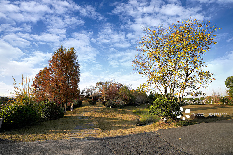 杭州市余杭区径山花海图片素材