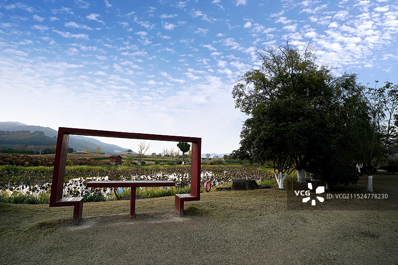 杭州市余杭区径山花海图片素材