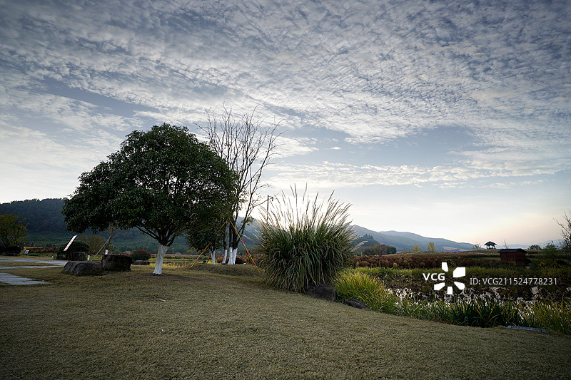 杭州市余杭区径山花海图片素材