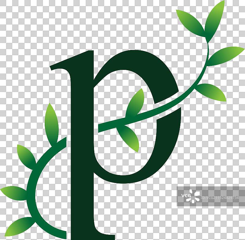 绿色树叶风格P字母logo图片素材