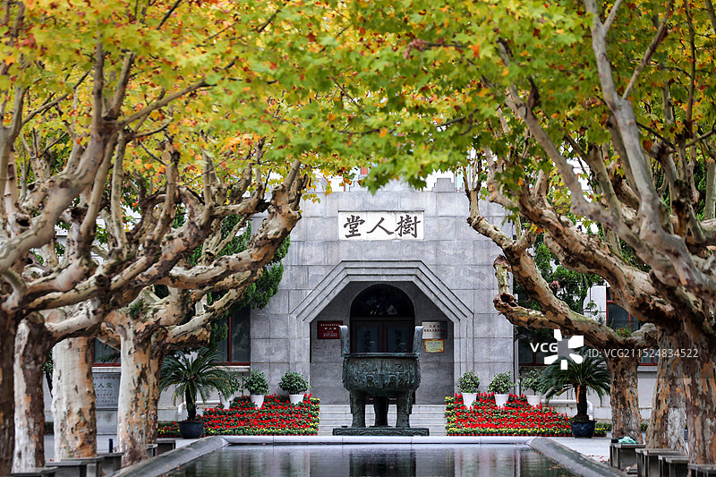 树人堂与梧桐树，拍摄于江苏省扬州中学图片素材