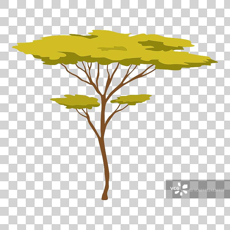 非洲自然风光中的三棵树图片素材