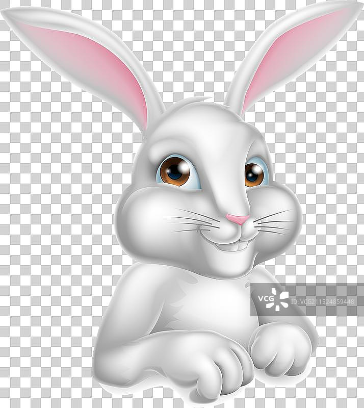 白色复活节兔子图片素材